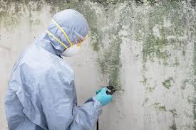 Why You Should Choose Our Mold Remediation Services in Mansfield, PA